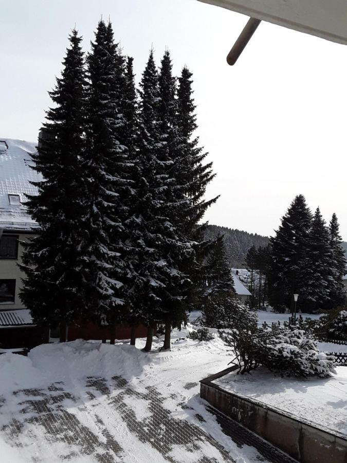 Fewo Haude Braunlage Exterior photo