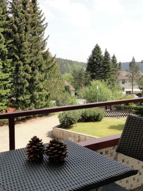 Fewo Haude Braunlage Exterior photo